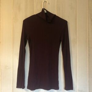 Elegant Women's Maroon Turtleneck Top